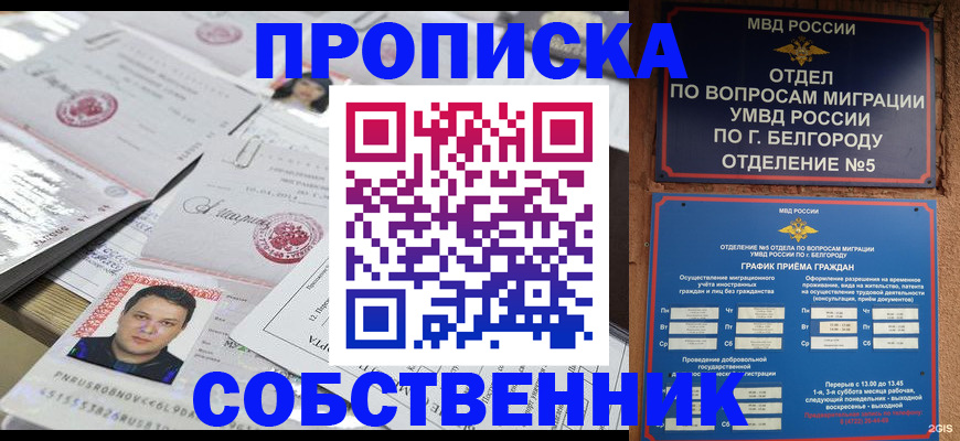 прописка иностранных граждан в Боровичах
